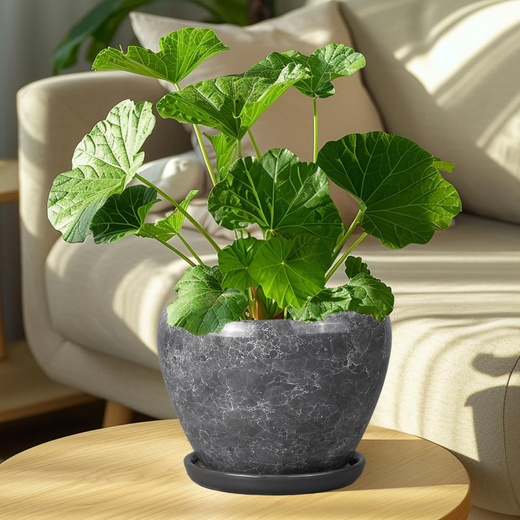 8 Inch Plant Pot - Ceramic Planter Pot with Drainage Hole and Saucer, Glaze Garden Pot Modern Flower Pot for Indoor