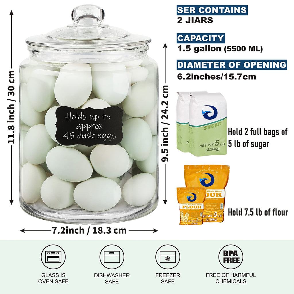 1.5 Gallon Glass Canisters with Airtight Lids, 2 Pack Flour & Cookie Jars