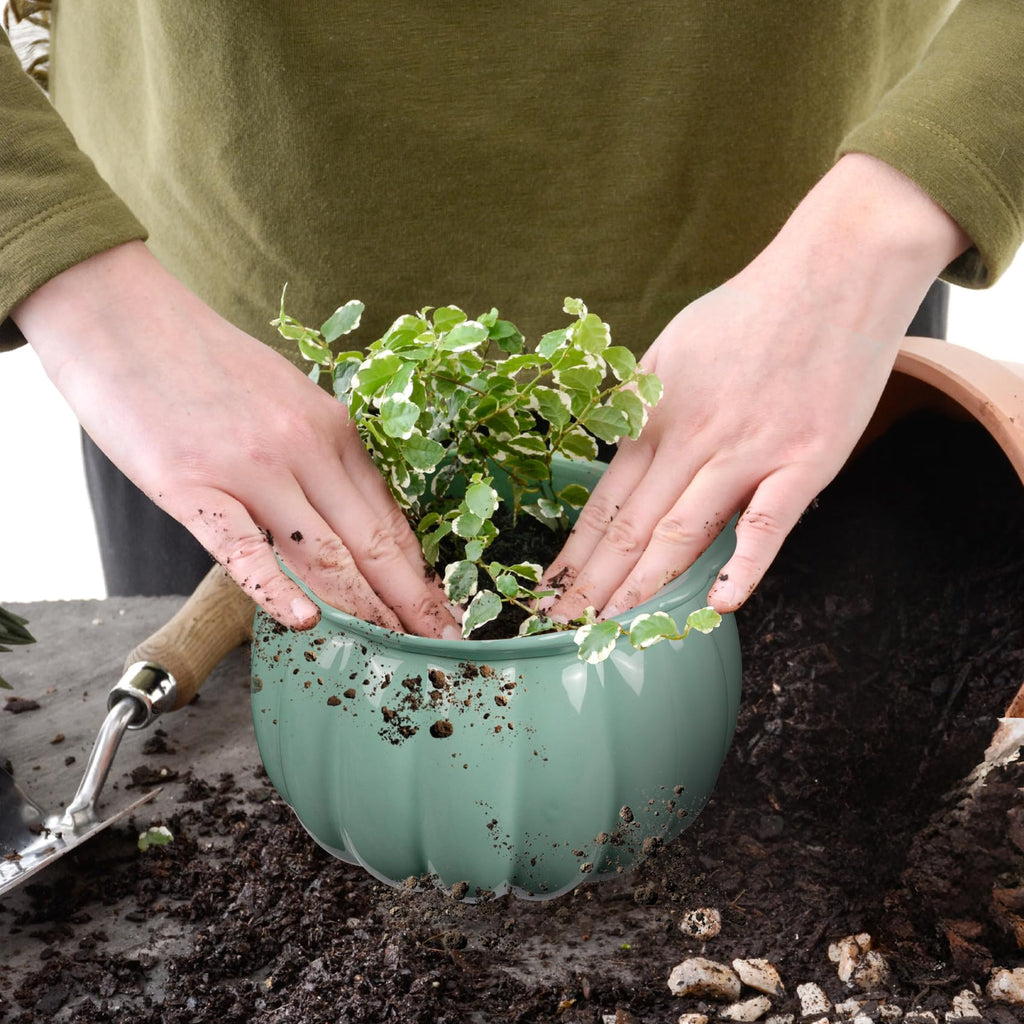 Self Watering African Violet Pot 6in Ceramic Planter-Blue