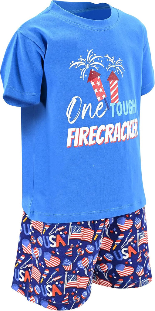 Boys 2pc Shorts Set Outfit Short Sleeve Shirt with Fun Applique Print and Shorts