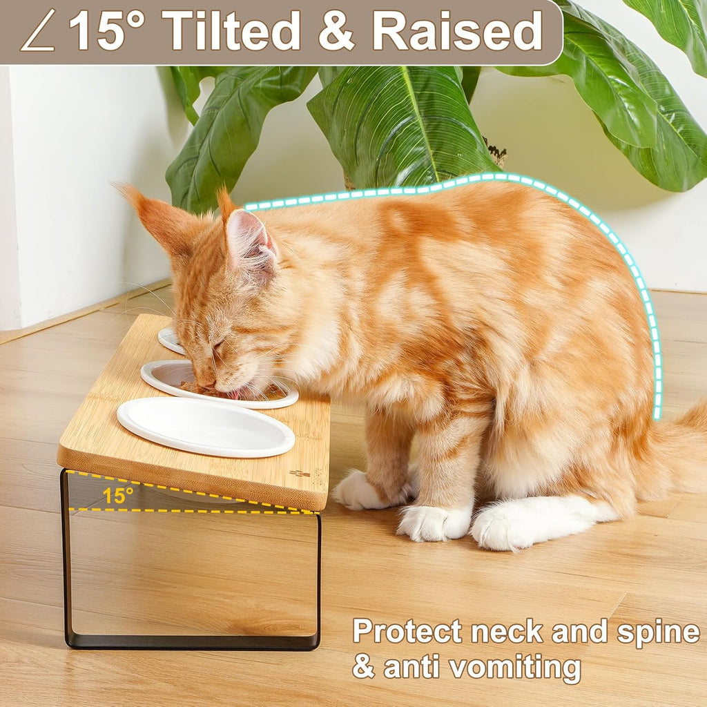 Raised Cat Food Water Bowl Elevated Tilted Kitty Dishes Set of 3 Ceramic Dish for Indoor Cats Orthopedic Pet Food
