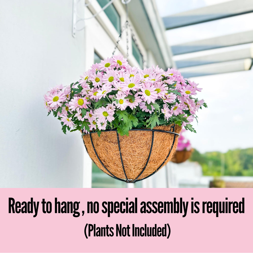 LaLaGreen Outdoor Hanging Baskets (10 in, 10 Pack) Coco Liner Flower Pots