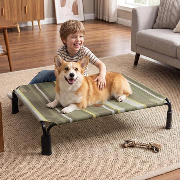 Outdoor Elevated Cooling Dog Bed Raised Dog Bed for Medium Dogs