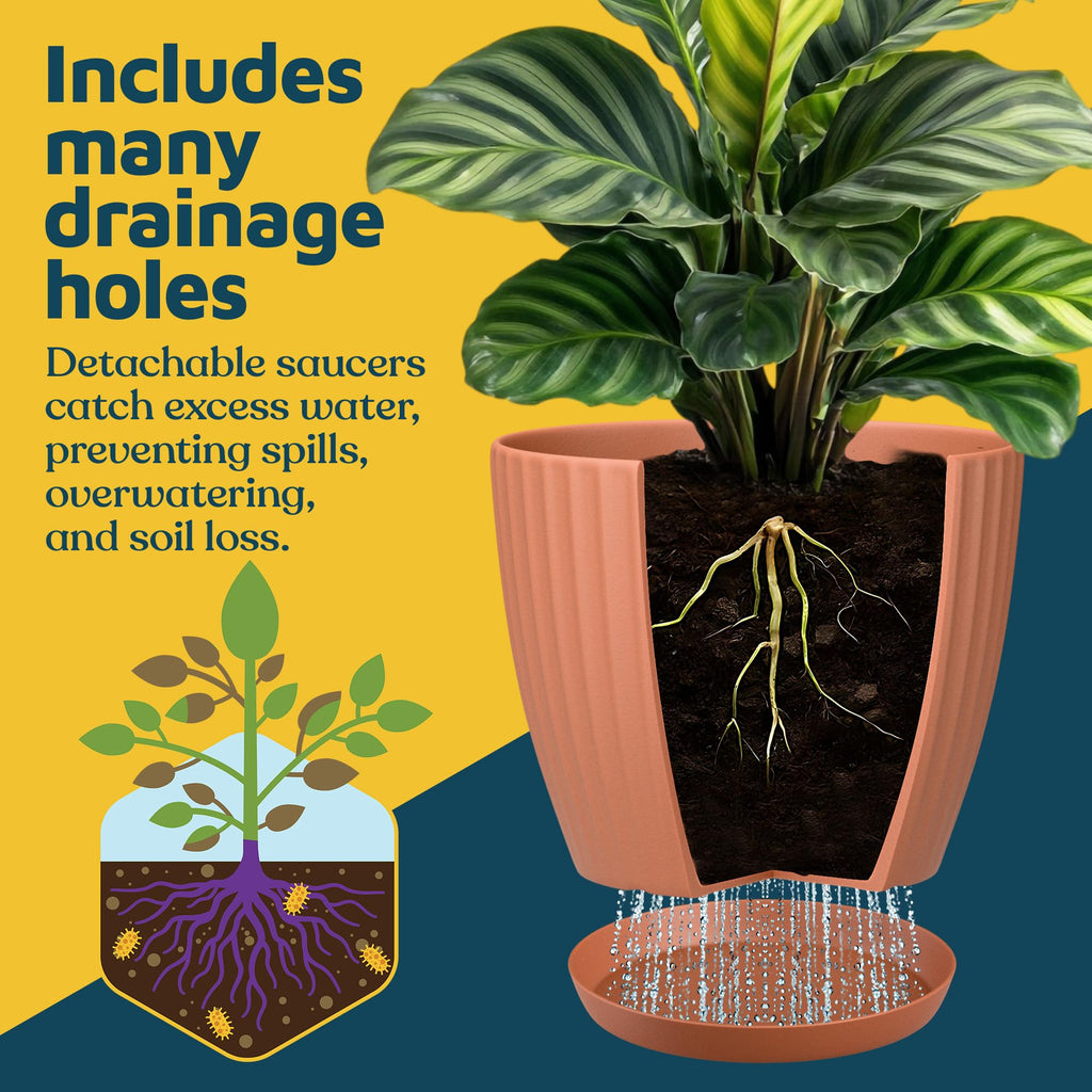 Terracotta 6-Inch Plant Pots with Drainage & Saucers 24 Pack, Indoor & Outdoor Planters plants, Herbs, and Flowers