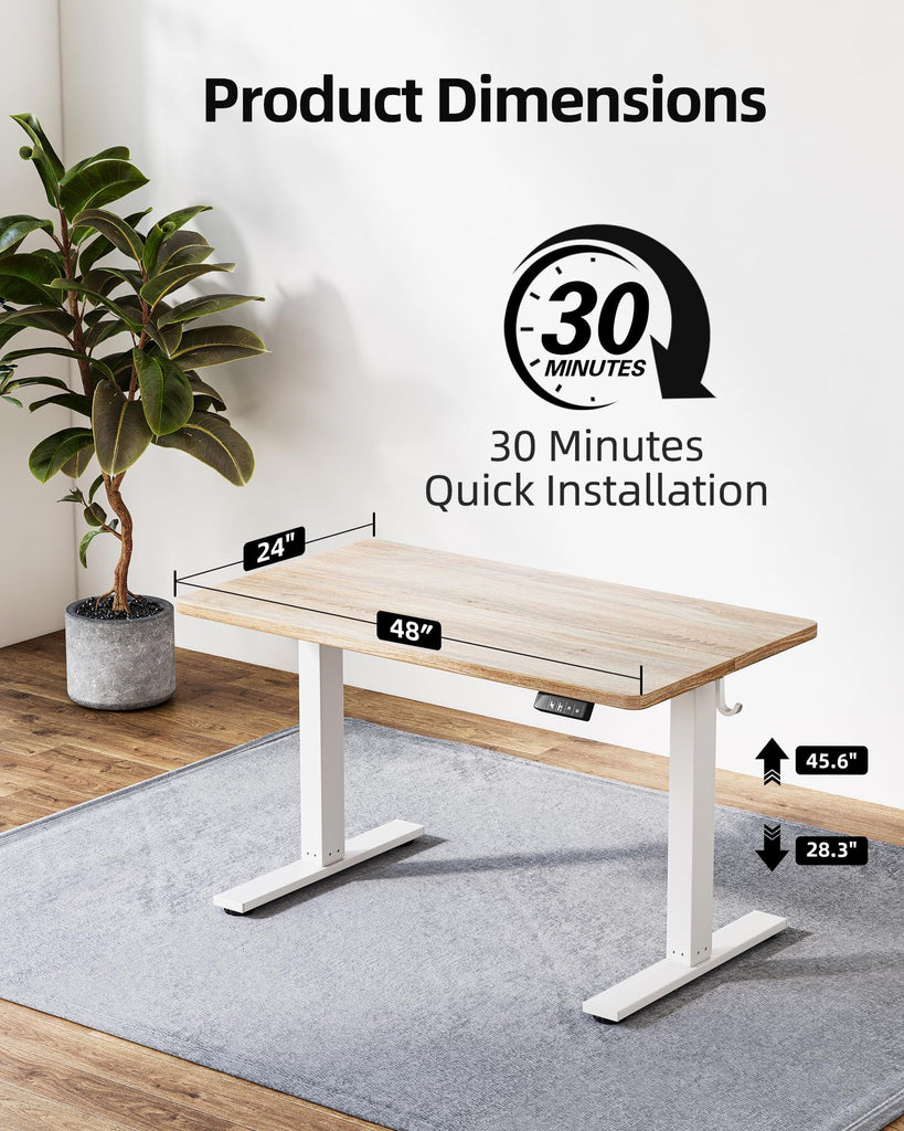 55 X 24 Inch Height Adjustable Electric Standing Desk, Maple