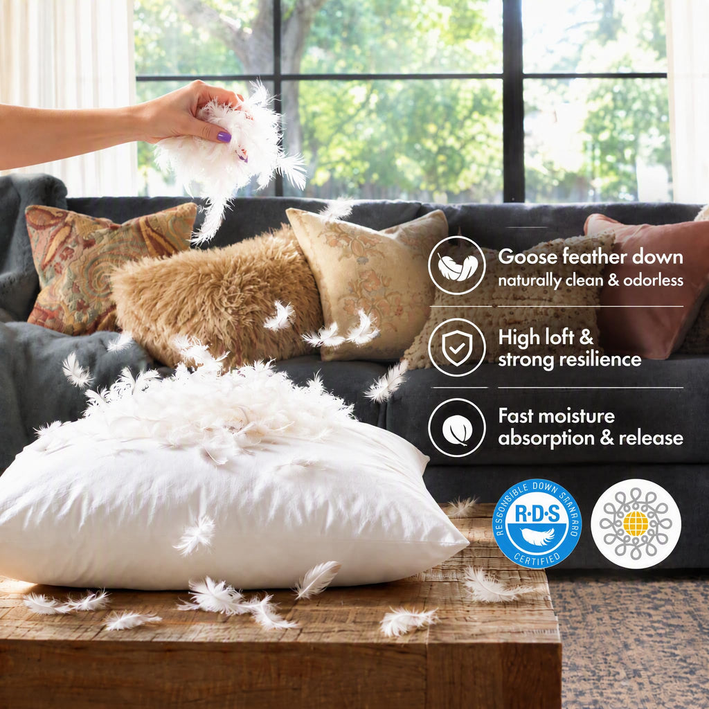 Hotel-Style 28x28 Goose Feather Down Euro Pillow Insert for Sofa & Bed - 100% Odorless & Plump Cushion Filler