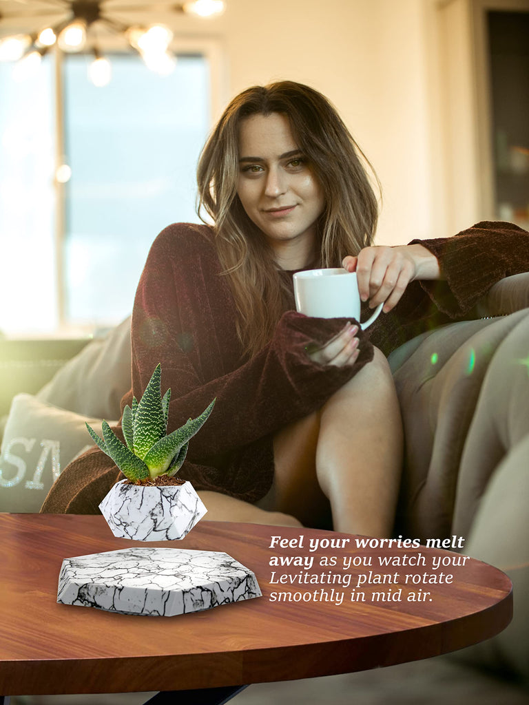 Levs Floating Pots for Plants - Levitating Pot - Levitating Planter for Bonsai, Succulents, Air Plants - Floating