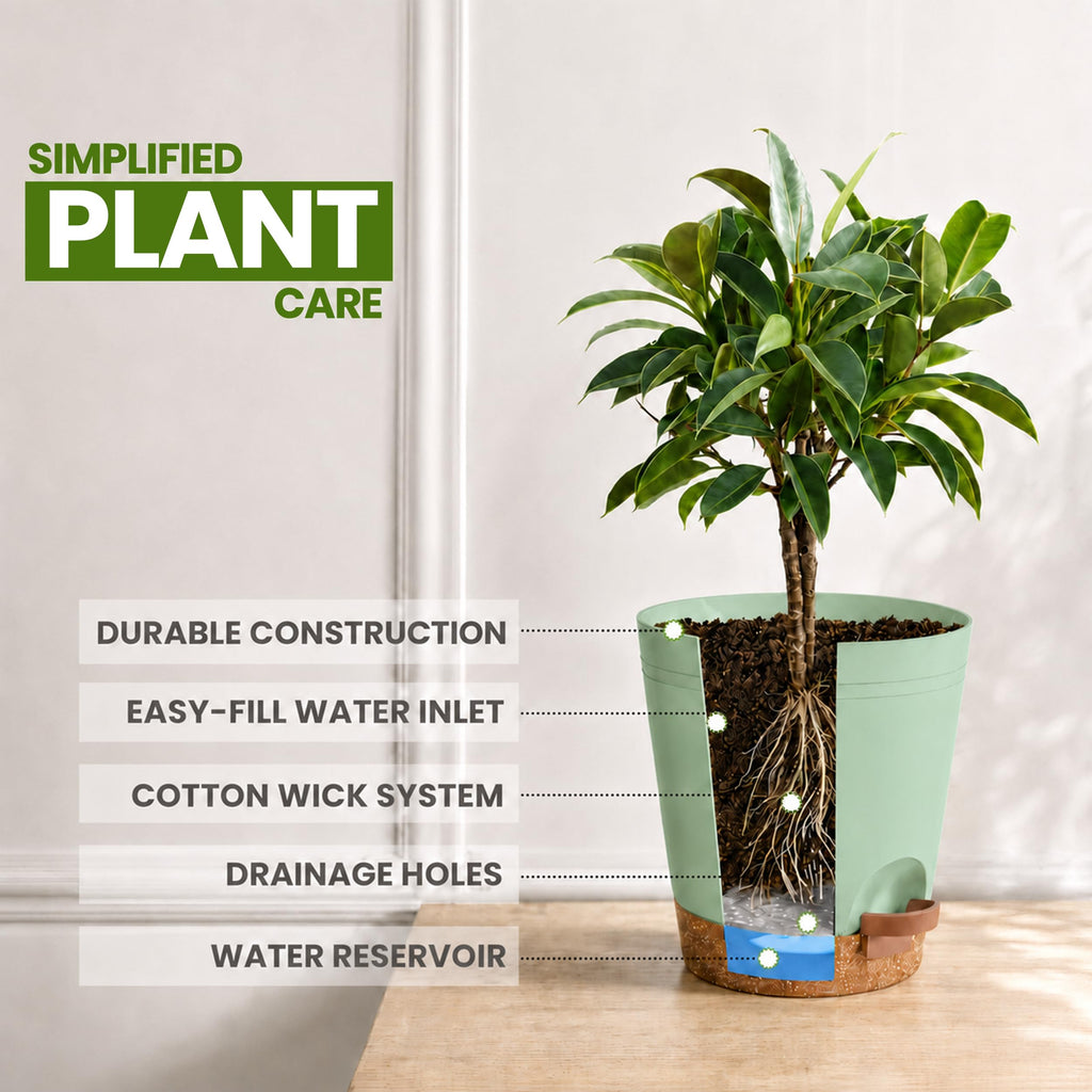 Self Watering Pots for Indoor Plants 6.8"/6.4"/5.9"/5.5"/4.9" Set of 10, Planters for Indoor Plants, Small Multi-Size