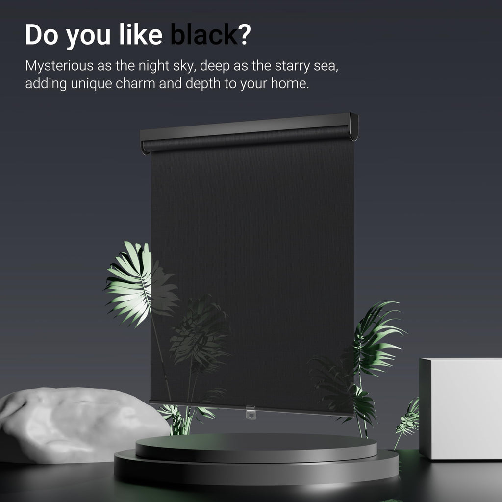 Light Filtering Roller Shades for Windows, Black