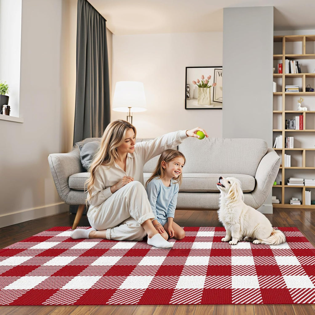 Outdoor Rugs, Red and White Area Rug Checkered