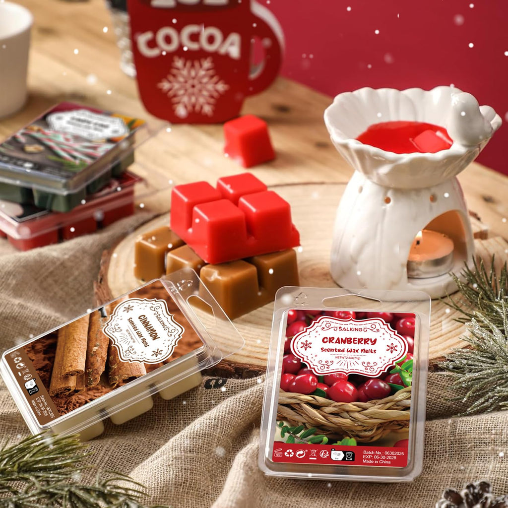 Winter Scented Wax Melts, Christmas Soy Wax Cubes for Wax Warmer