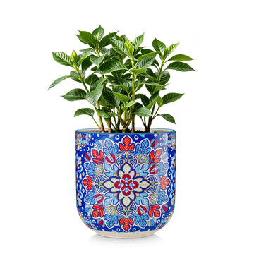 6 Inch Ceramic Plant Pots, Planters with Drainage Hole, Flower Pots Planters Pots for Indoor Plants, Modern Indoor
