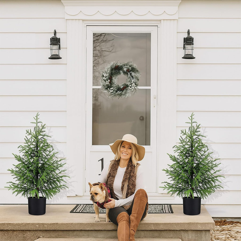 3FT Small Norfolk Pine Christmas Trees, 2-Pack Potted, Unlit