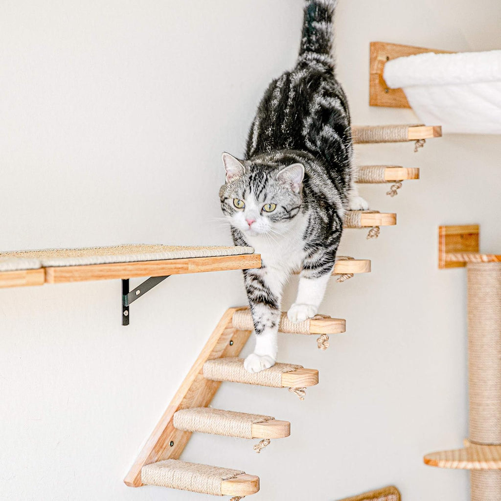 Cat Climbing Shelf Wall Mounted, Small