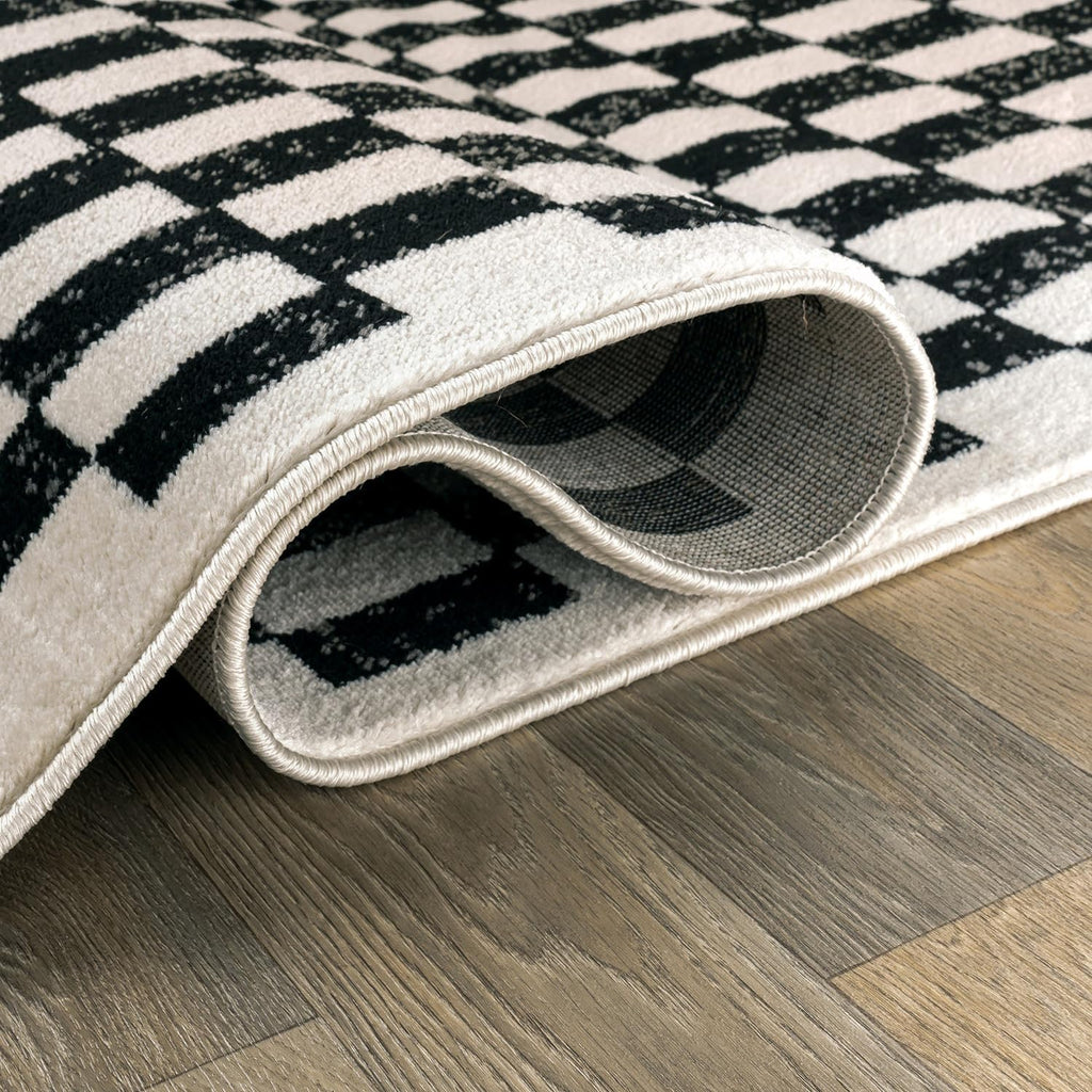 Contemporary Checkered Grid Contrast Area Rug Soft Black