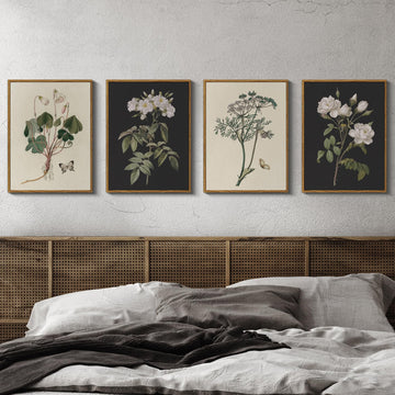 Vintage Botanical Wall Art Set of 4 12x16 Framed Canvas Prints