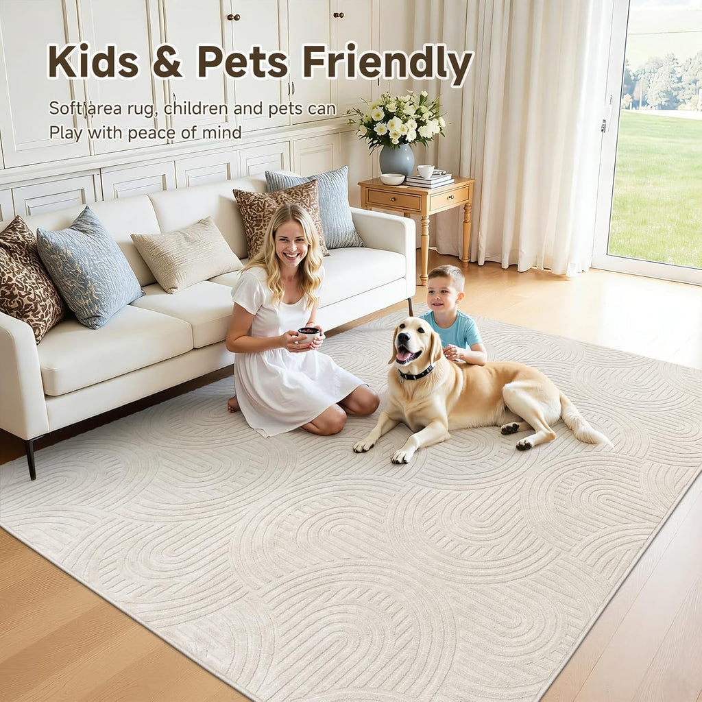 Area Rugs for Living Room 9x12, Non Slip Machine Washable Boho Neutral Modern Rug, Soft Fluffy Carpe