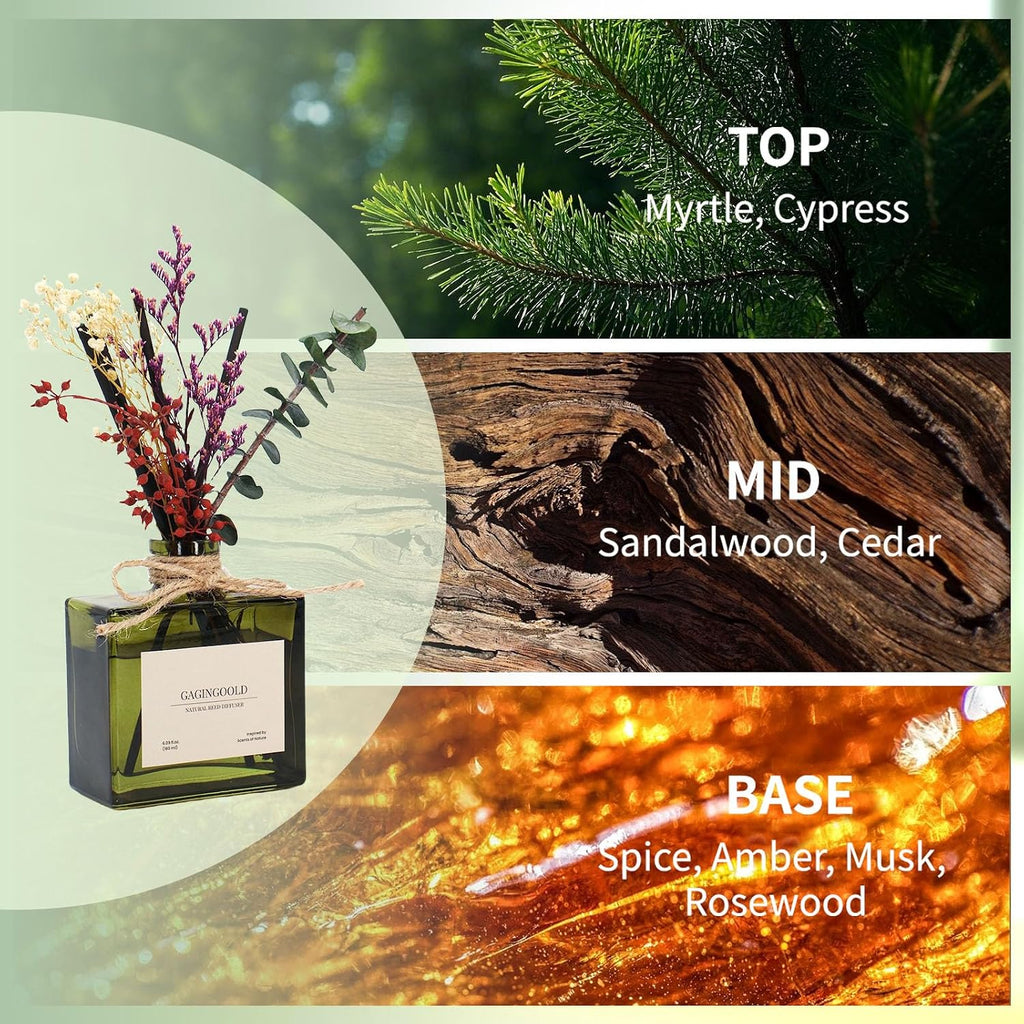Reed Diffuser, 6.09 oz Earthy Sandalwood Scent Diffuser with Sticks & Dried Flowers, 120 Days Long Lasting diffusers