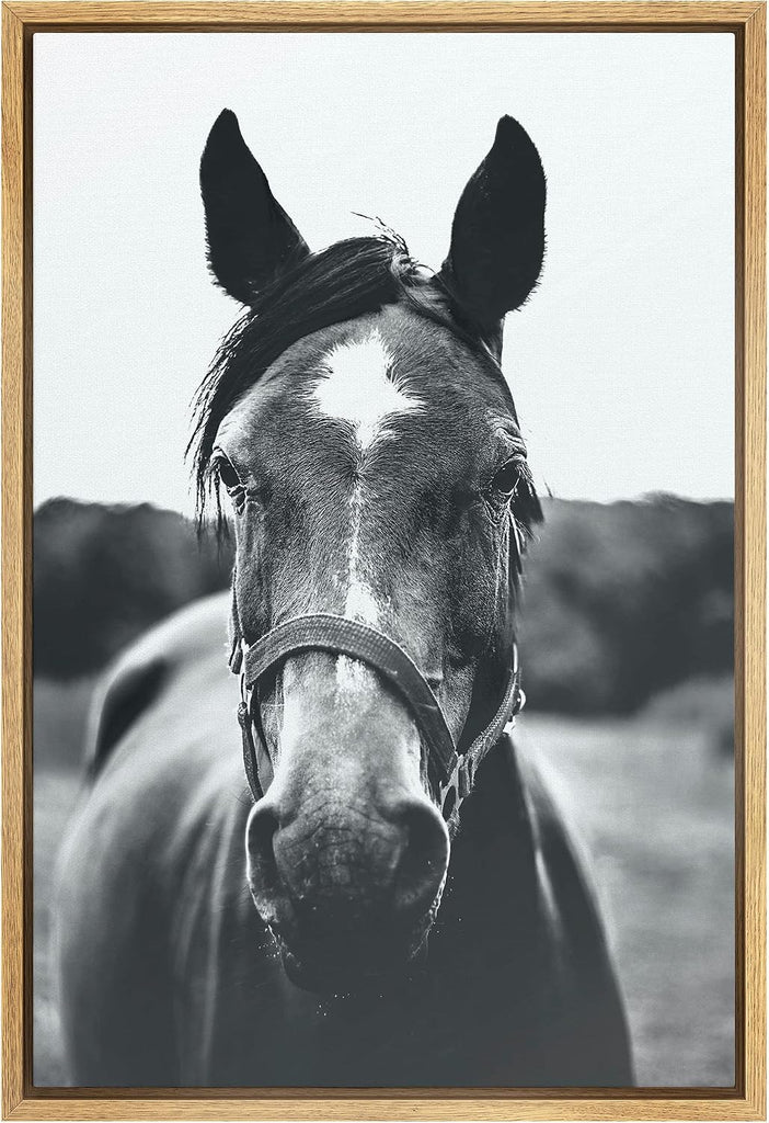 Framed Canvas Wall Art High Contrast Horse Animals Black and White Duotone Expressive Grey Horse Living Room