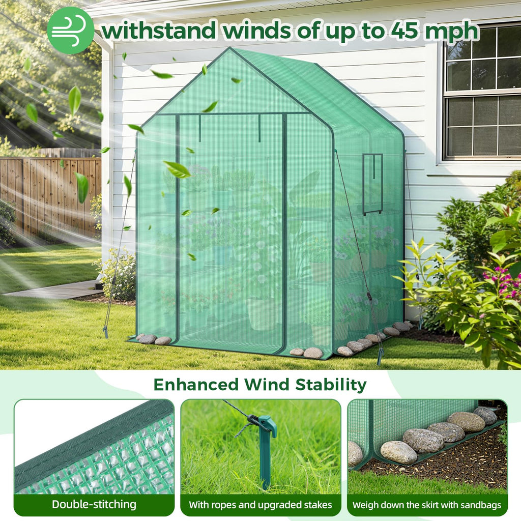Greenhouse for Outdoors with Screen Windows, 57 x 57 x 76'' Walk in Plant Greenhouses Heavy Duty with Durable PE