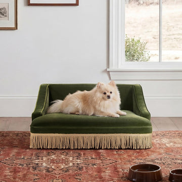Velvet Dog Couch Bed, Orthopedic Pet Sofa with Skirt, Washable Non-Slip Bottom for Small Medium Dogs &