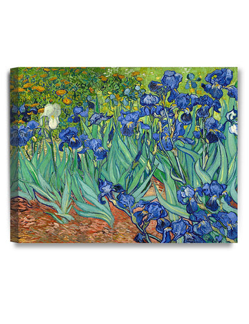 Van Gogh Canvas Wall Art, Van Gogh Irises in the Garden, 20x16''