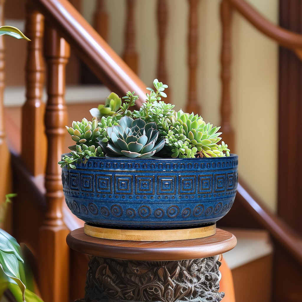 Bonsai Pots 8 Inch - Ceramic Succulent Pots, Round Planter for Indoor Plants, Modern Outdoor Planter with Drainage