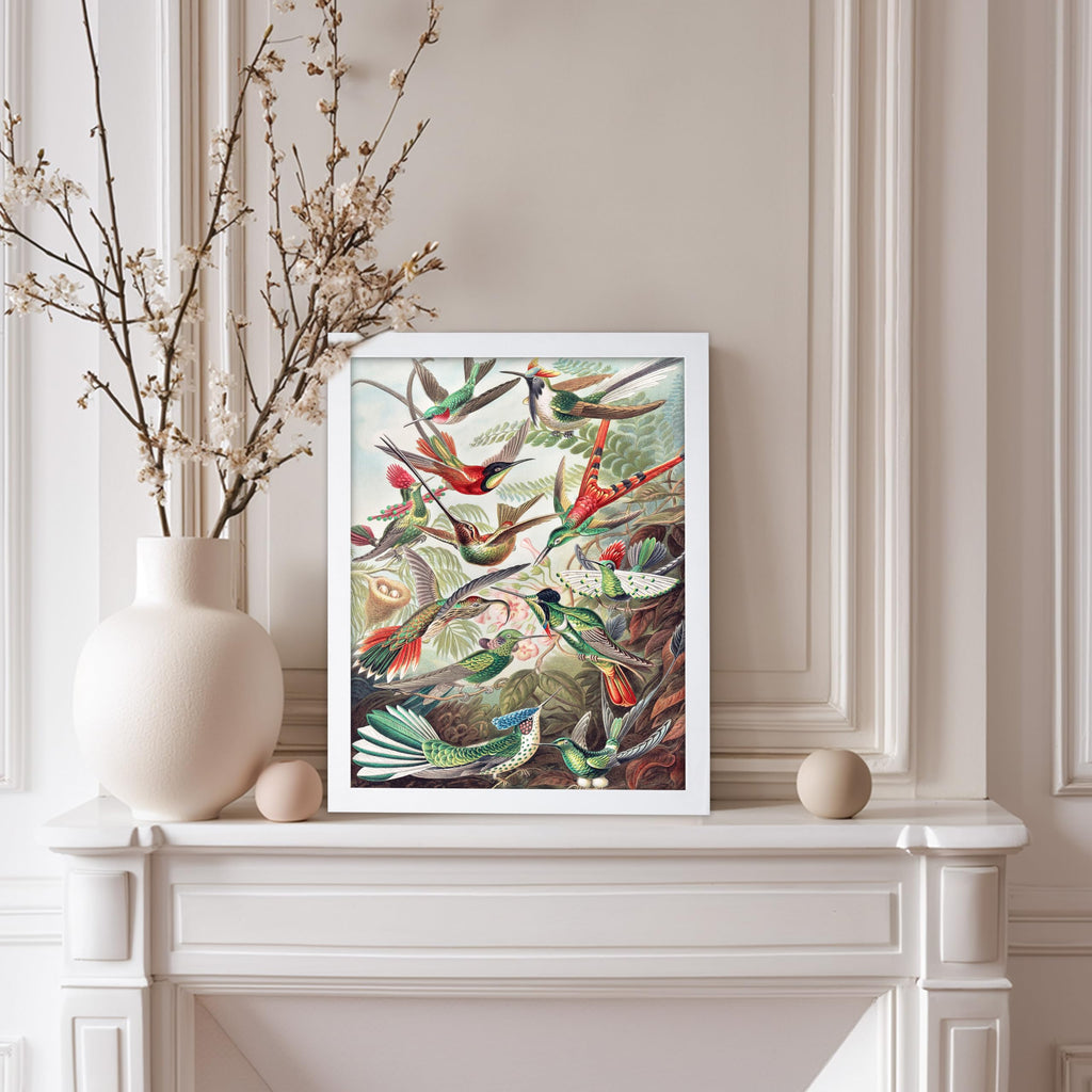 Master Vintage Ernst Haeckel Poster - Retro Animal Print - Gift for Artist, Friend - Hummingbirds, Trochilidae