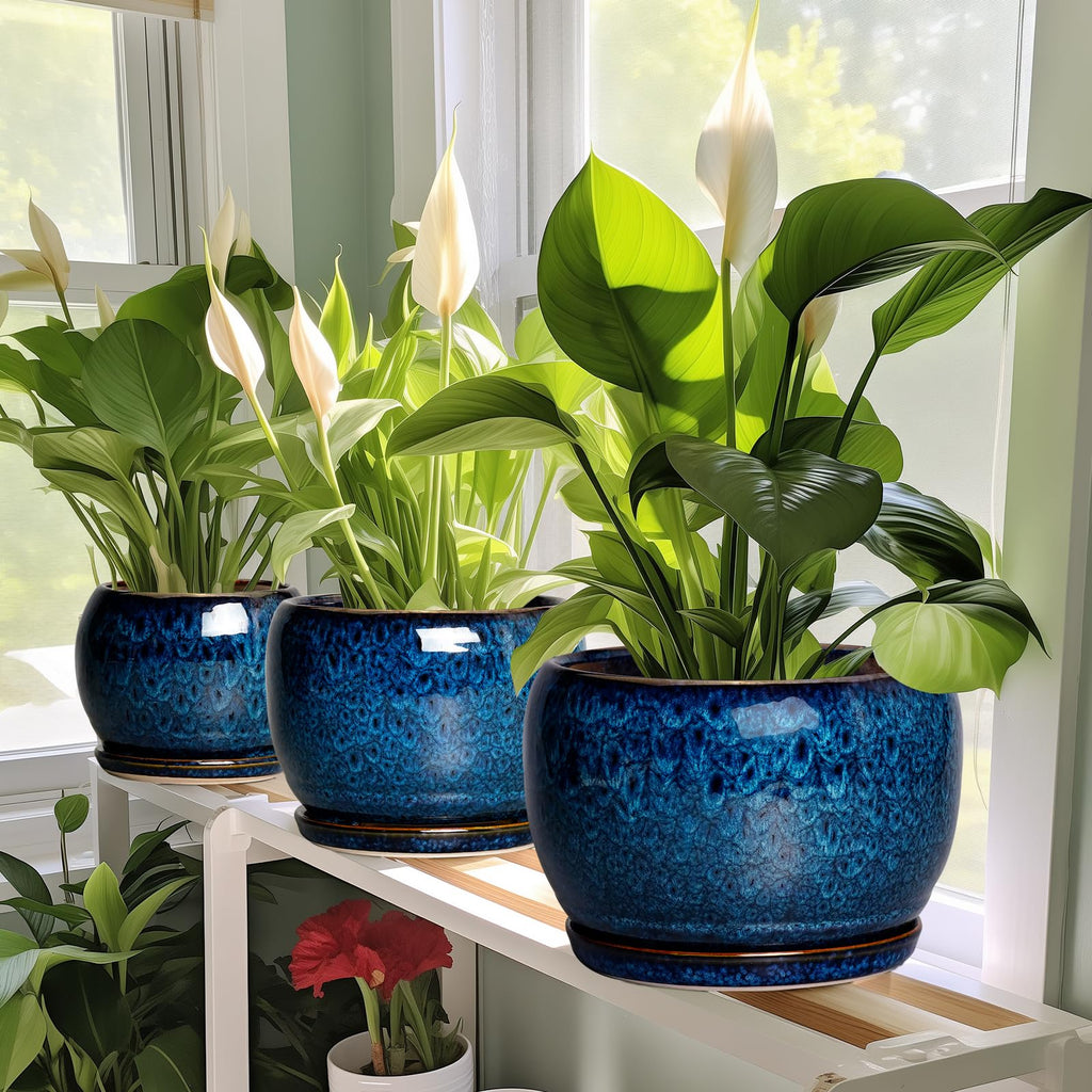 10 Inch Plant Pot - Ceramic Planter Pot with Drainage Hole and Saucer, Decorative Plant Pot for Indoor Outdoor