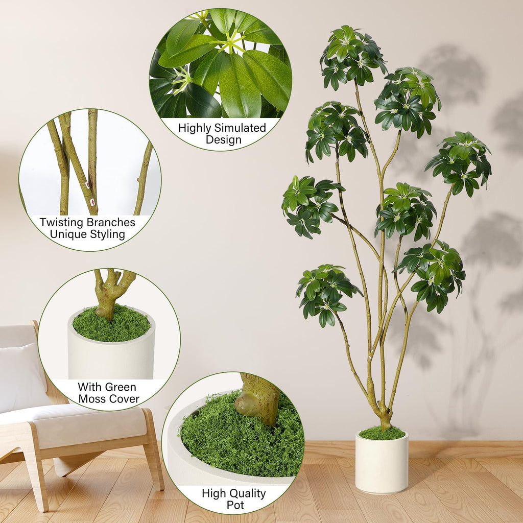 Umbrella Tree Plant, 6 ft Tall Faux Schefflera Tree
