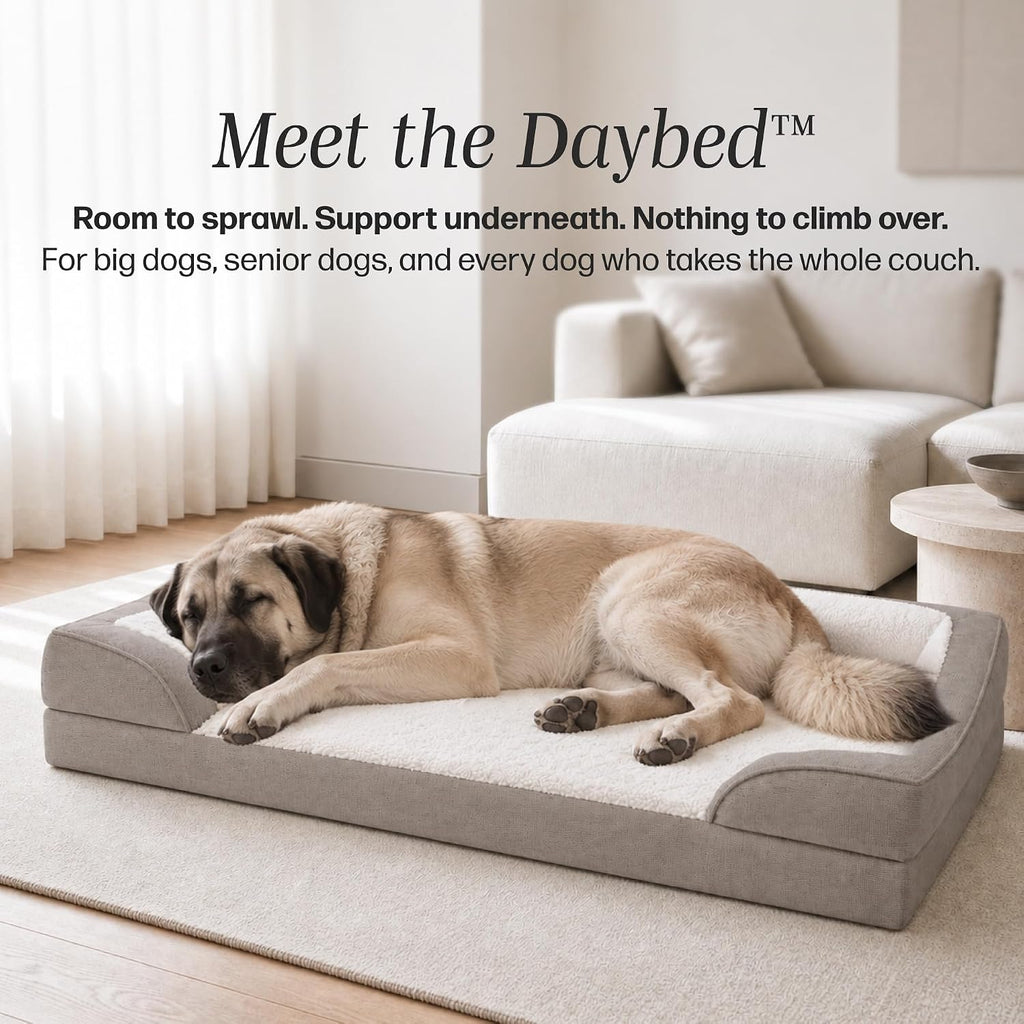 Daybed Orthopedic Sofa Dog Bed, Washable Cover, Jumbo+, Toast