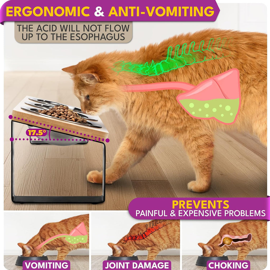 Raised cat Bowls for Indoor Cats by, Elevated cat Bowls, Tilted and Elevated Anti Vomiting Cat Dishes for Food
