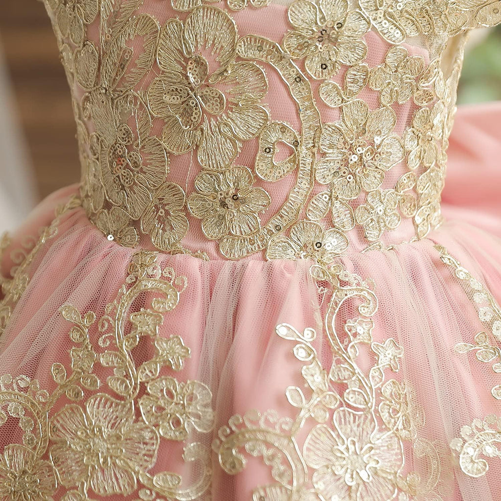 Baby Girl Tutu Dress Princess Lace Embroidery Wedding Party Gown