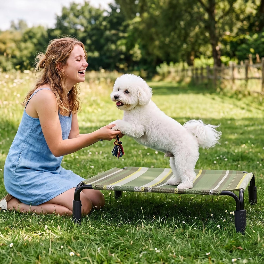 Outdoor Elevated Cooling Dog Bed Raised Dog Bed for Medium Dogs