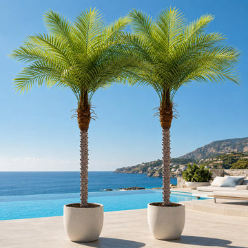7ft Artificial Phoenix Palm Tree, Faux Coconut Silk Tropical Fake Palm Plant for Indoor Outdoor Home Office Patio