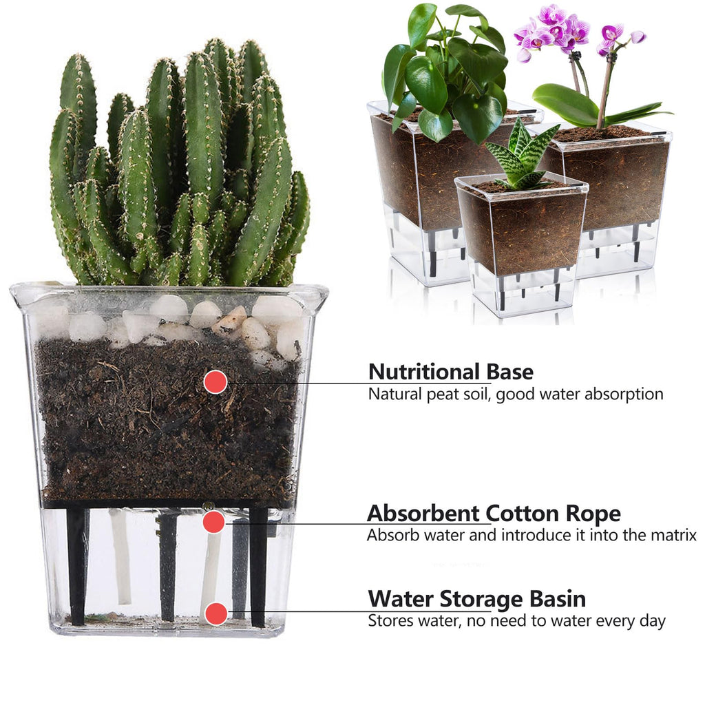Self Watering Pots Set, Clear Self Planter Pot for Indoor Plants