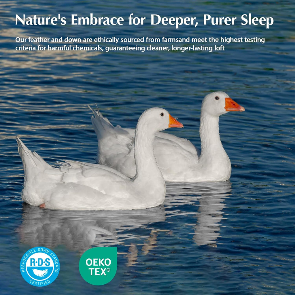 Queen Comforter, White Goose Down Bed Comforter Queen,All Season Ultra Soft 100% Cotton Luxury Hotel