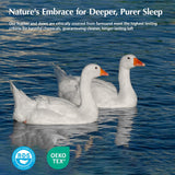 Goose Feather Down Fiber Comforters Twin, Extra Fluffy White Duvet Insert, Ultra-Soft, Breathable