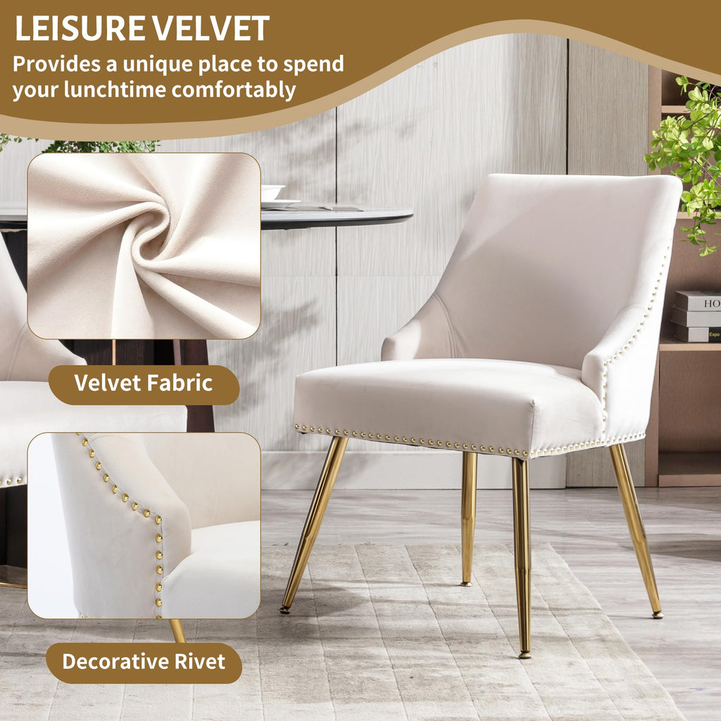 Velvet Dining Room Chairs Set of 2 Nailhead Back with Gold Legs, Beige