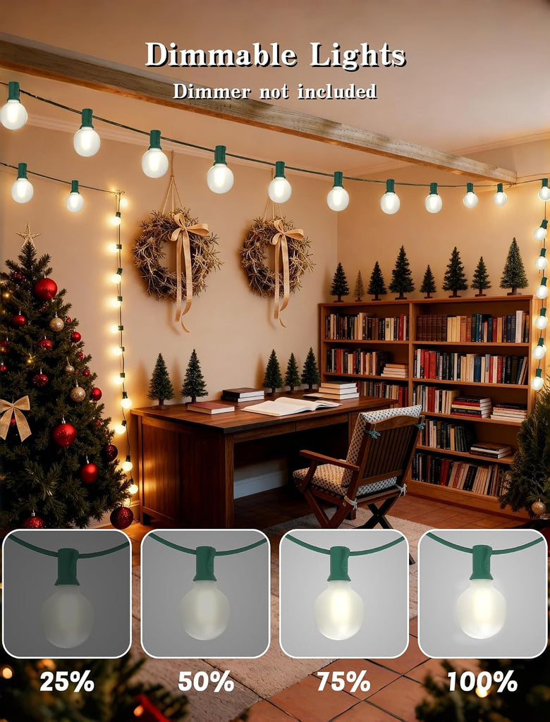 50FT LED Christmas Lights with 27 LED Globe Frosted White Bulbs