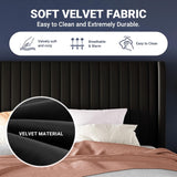 Full Velvet Bed Frame/Vertical Channel Tufted Wingback Headboard/Upholstered Platform Bed/Strong Wooden Slats/No Box