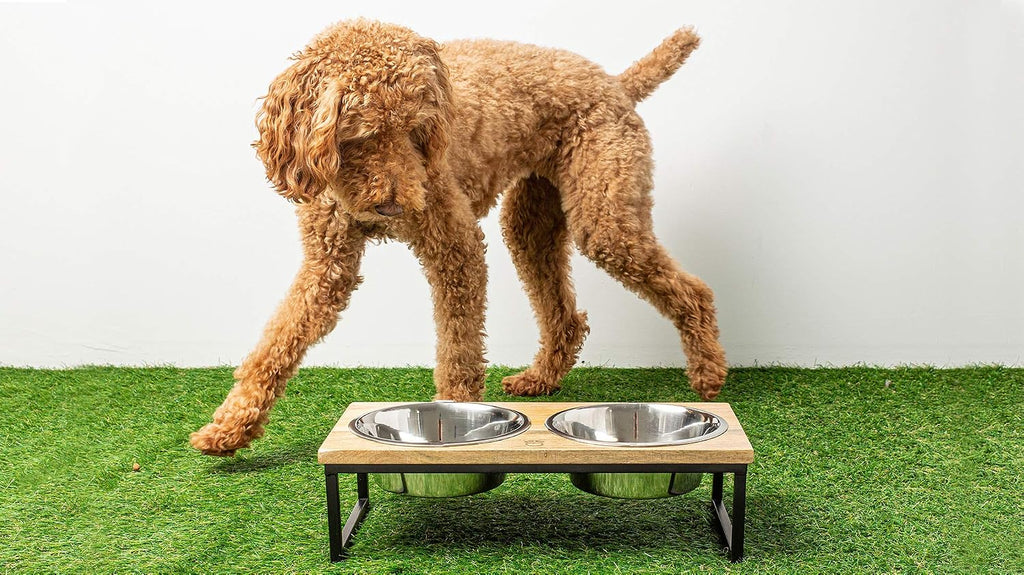 Mango Wood Dog Bowl Stand - Elevated Pet Feeder with 2 Stainless Steel Bowls - Raised Food and Water Dish Set