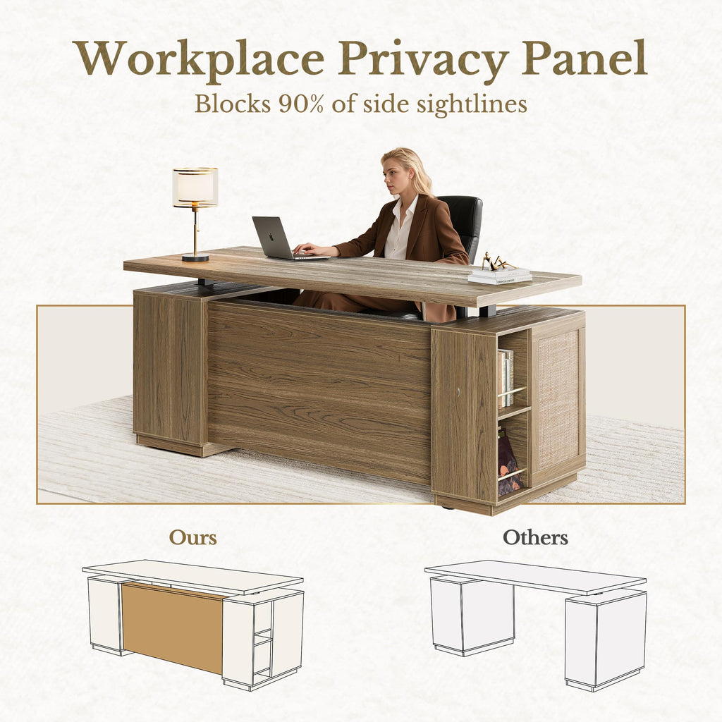 70" Standing Desk with Storage, Executive Electric Height Adjustable Stand Up Desk with AC/USB, Privacy Panel, Large