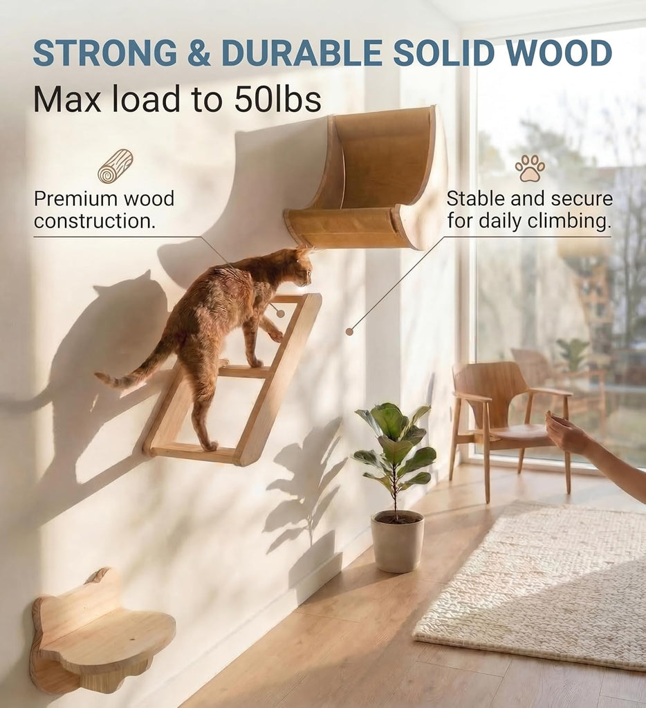 Cat Wall Shelves Set, Solid Wood Moon Bed, Perch & Stair for Climb and Rest