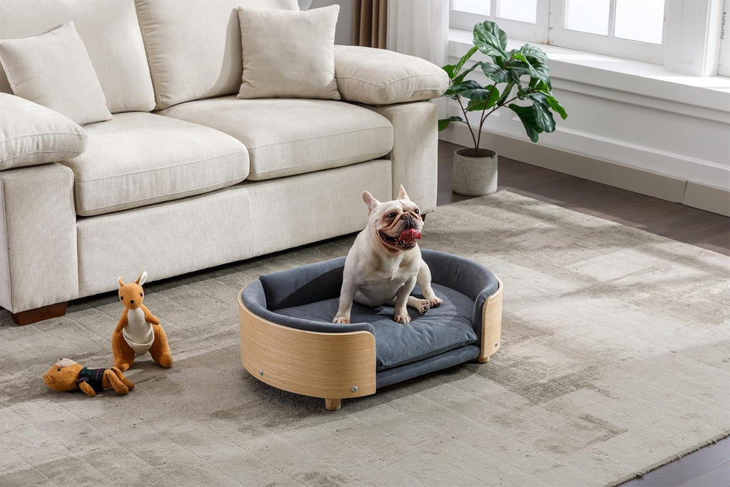 Scandinavian Style Elevated Dog Bed Pet Sofa with Solid Wood Legs and Bent Wood Back, Velvet Cushion, Mid Size, Dark