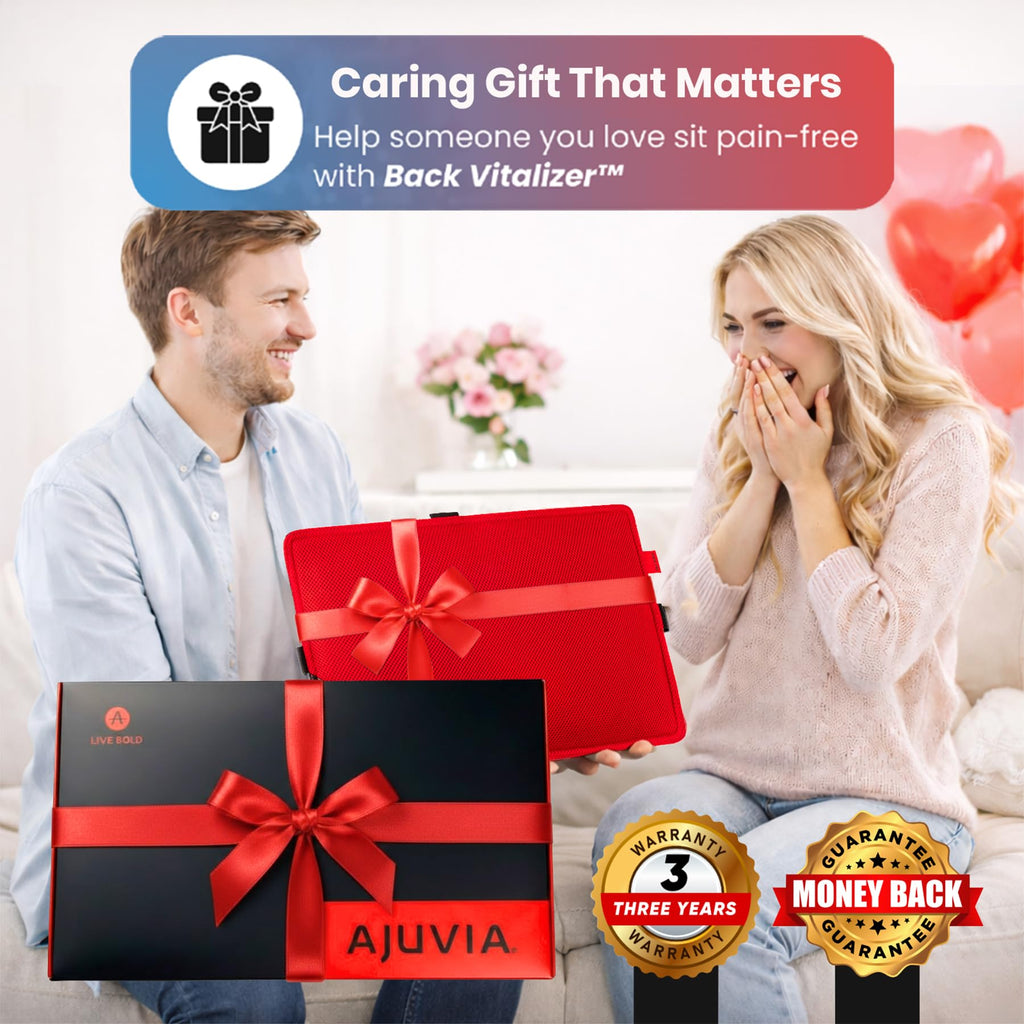 Back Vitalizer Lumbar Support Pillow Chair & Car