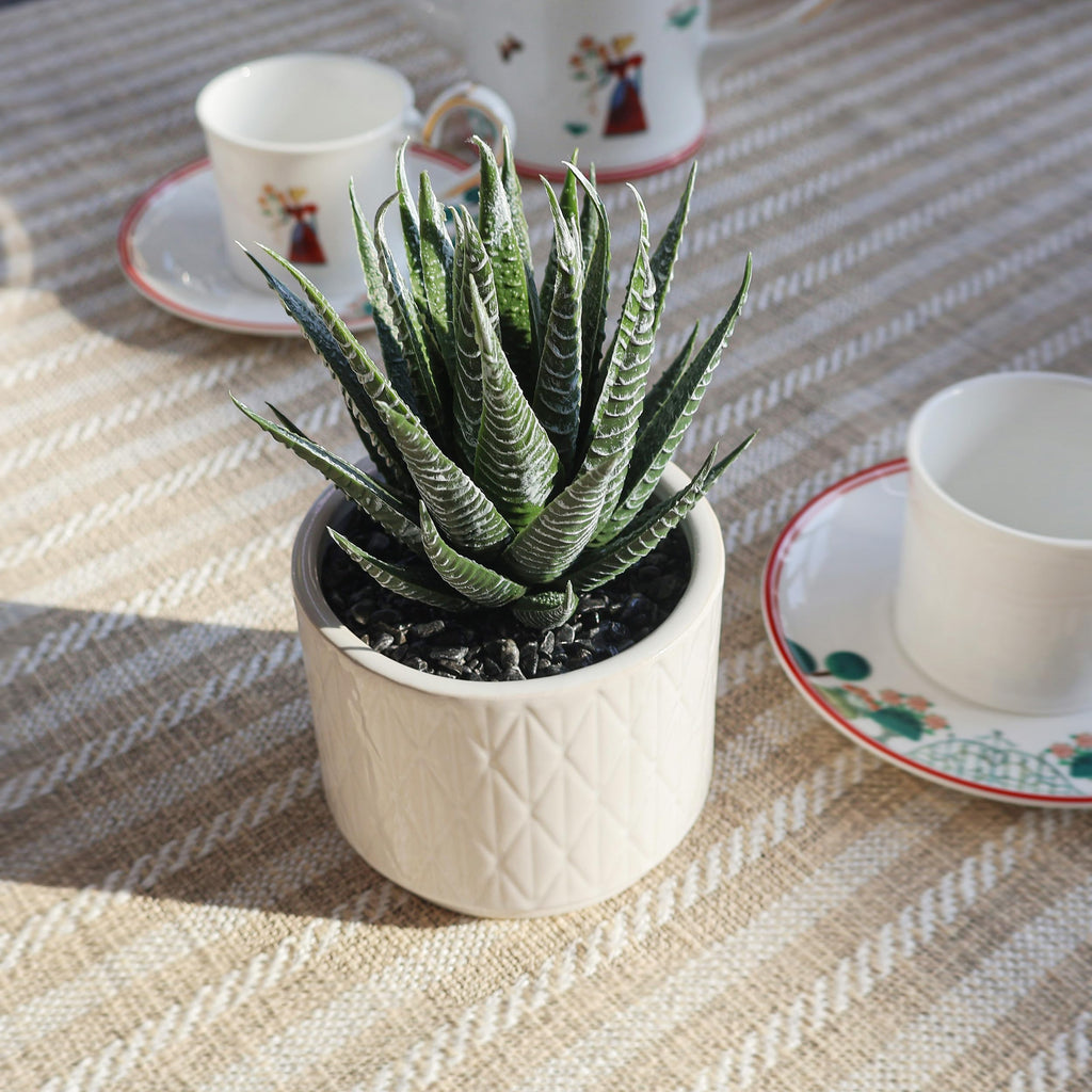 6.7'' High Artificial Succulents, Succulents Plants Artificial