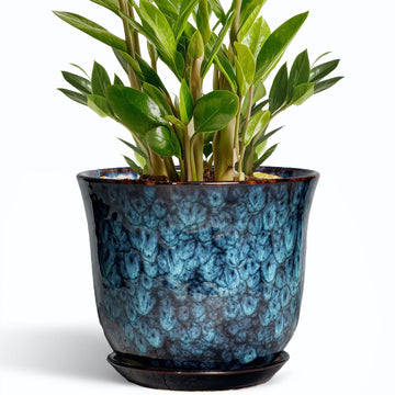 10 Inch Plant Pot - Ceramic Planter with Drainage Hole and Saucer, Round Flower Pots for Indoor Outdoor, Modern