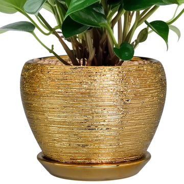 Indoor Plant Pot 6 Inch - Ceramic Pot for Plants Outdoor Planter with Drainage Hole and Saucer Round Decorative