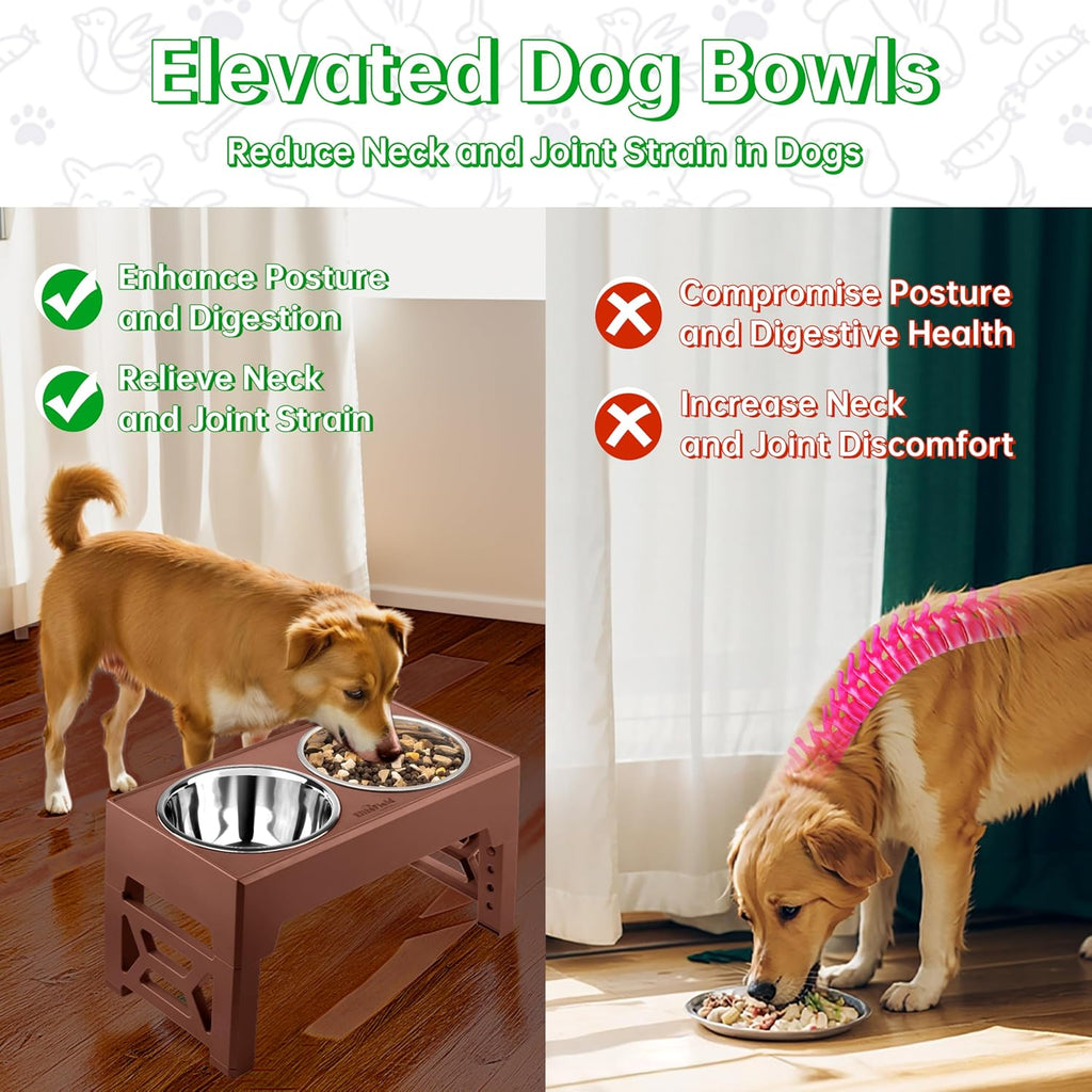 Elevated Dog Bowls, 2 Stainless Steel Bowls (2-Year Warranty)